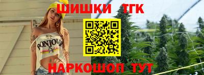 гашик Будённовск