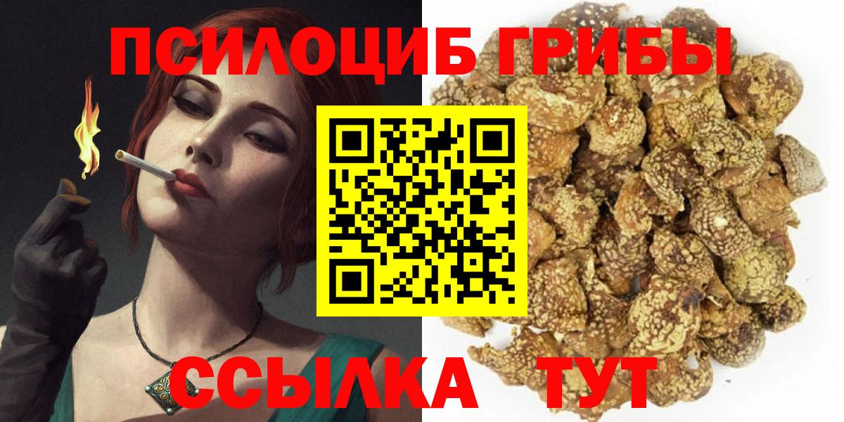Королёв  Псилоцибиновые грибы Psilocybe  Галлюциногенные грибы мухоморы  хочу наркоту  Вход с VPN 